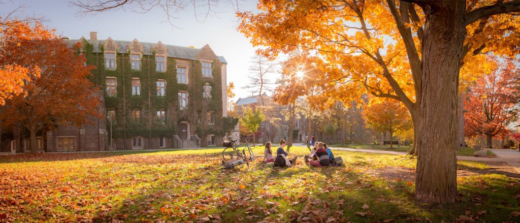 Students relaxing under a tree at McMaster University